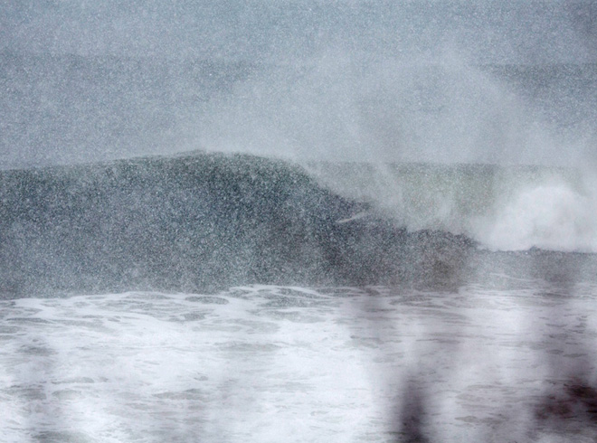 Juno in montauk