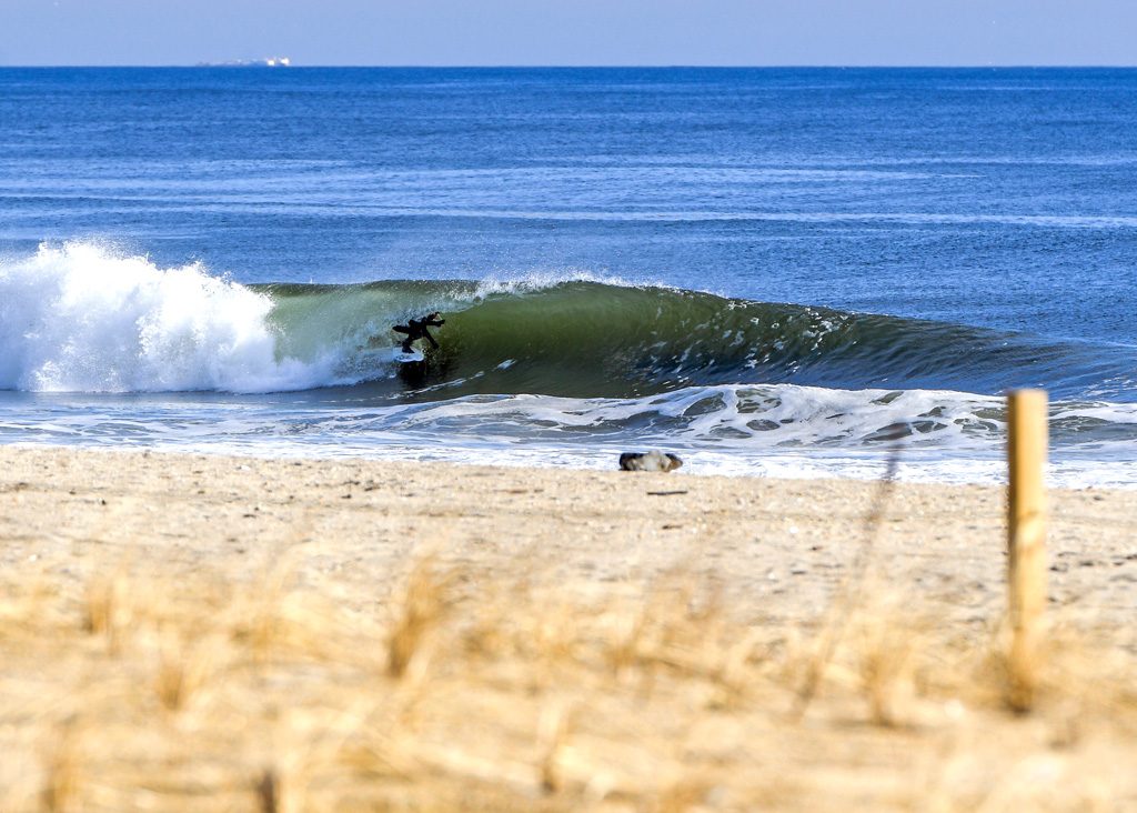 january 19, 2017, potd, photo of the day, tim torchia, new jersey, jack murphy