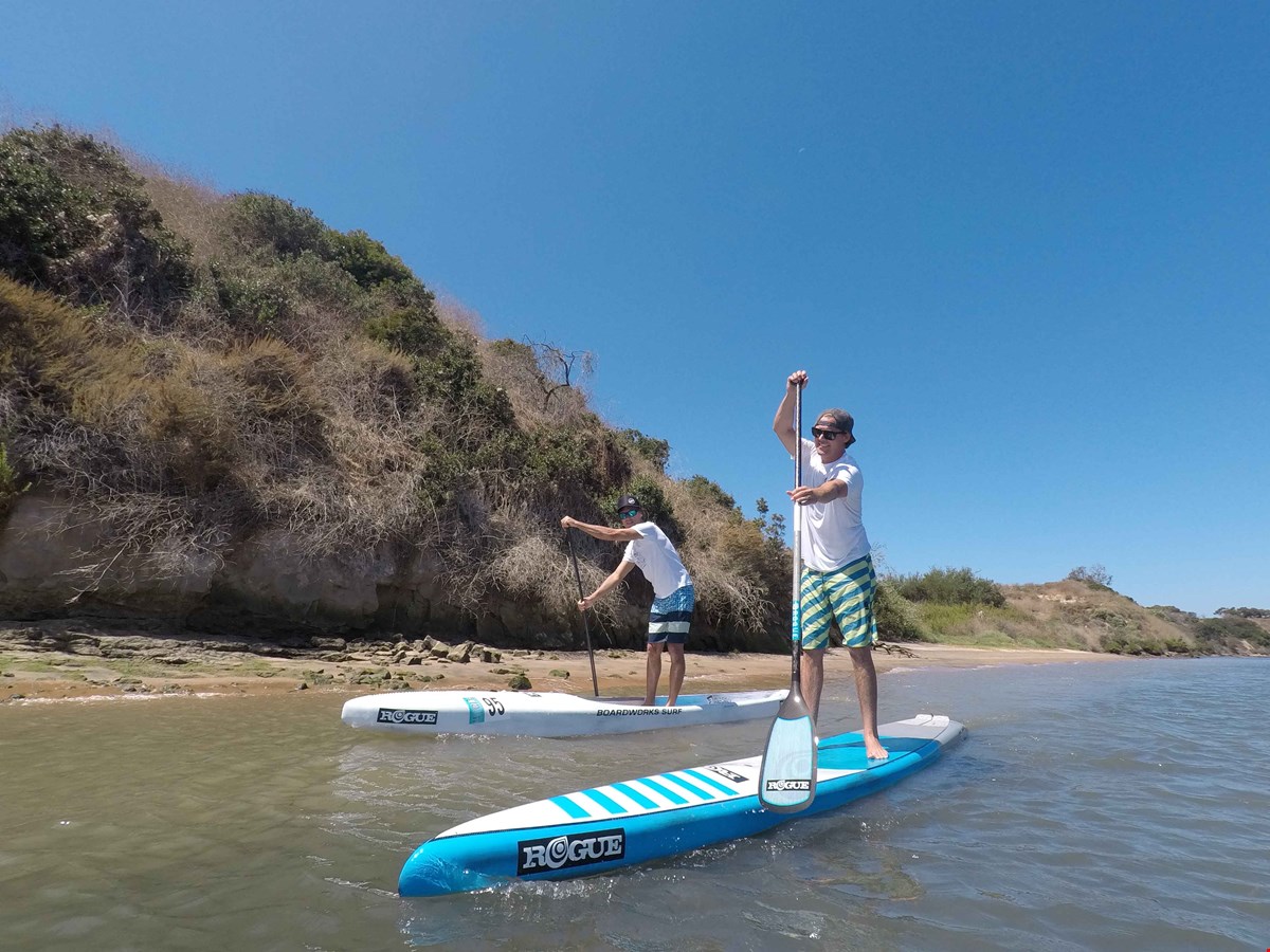 boardworks surf rogue sup