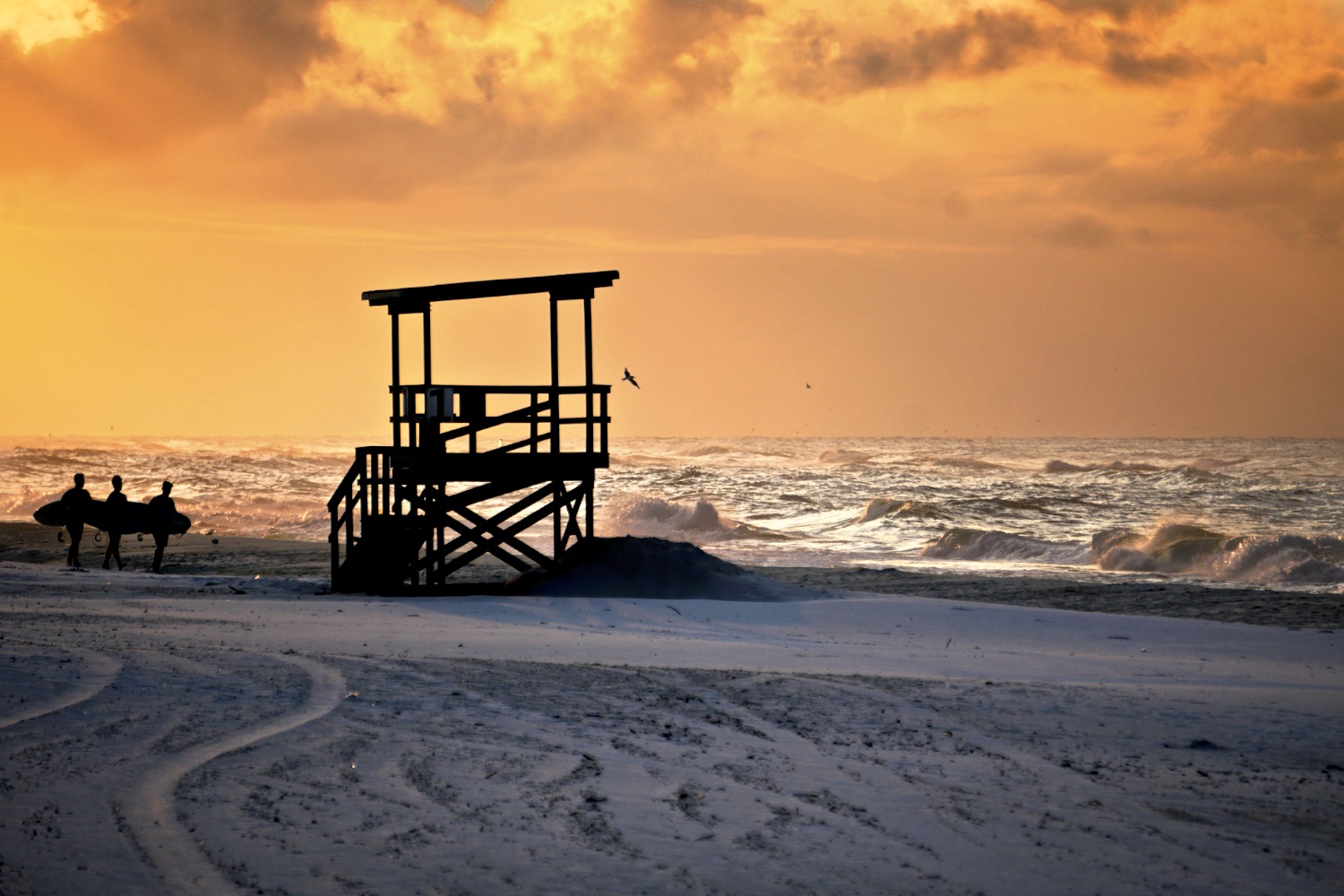 Pensacola Beach based photographer Alex Dantin has his work cut out for him