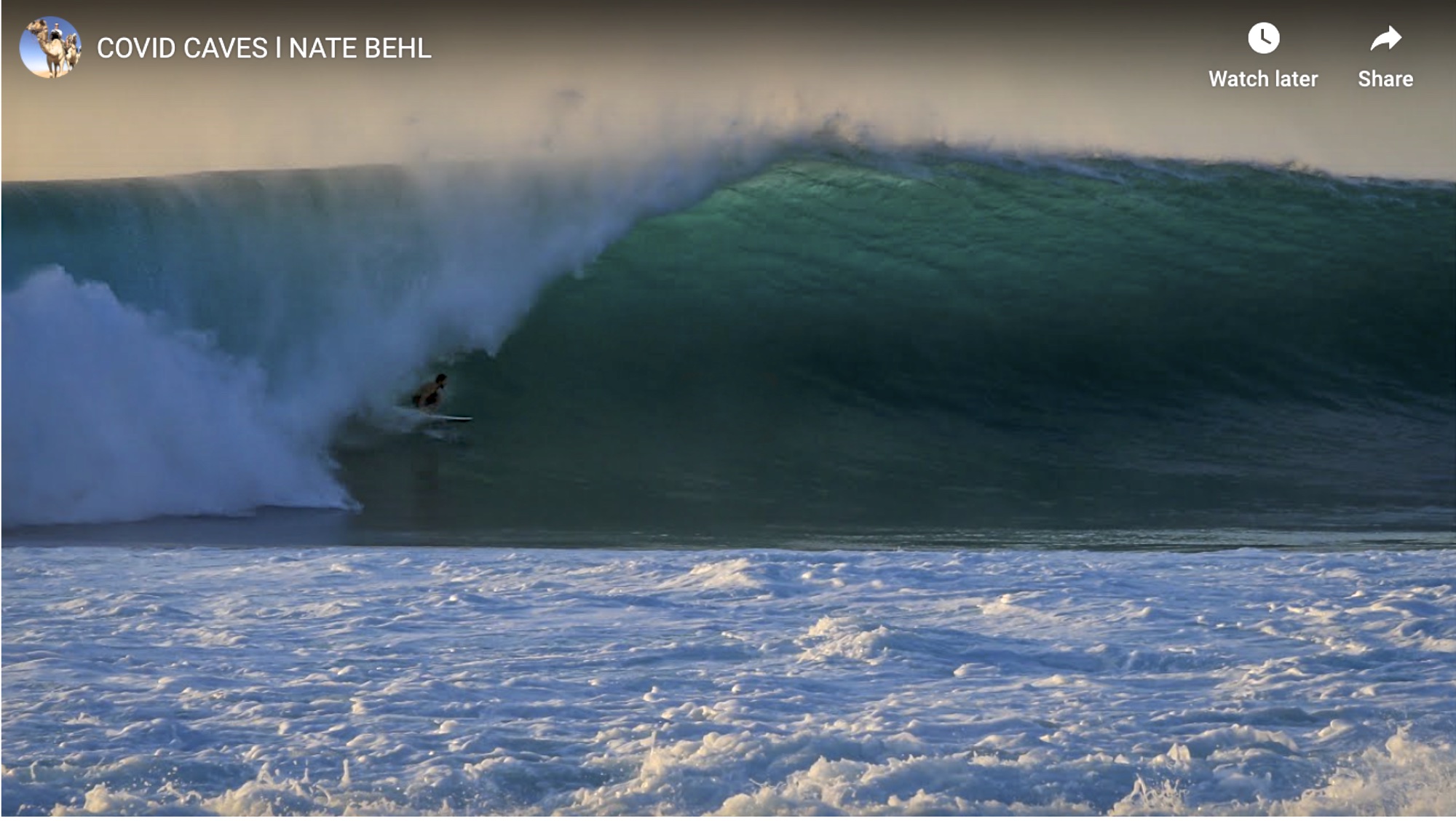 co-vids ring the behl nate mcnastys on fire in indo