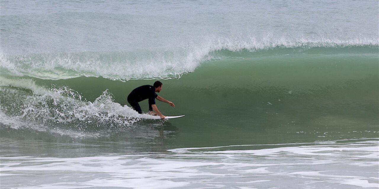 Moments With Mez Pt 2: A Winter / Spring Photo Gallery