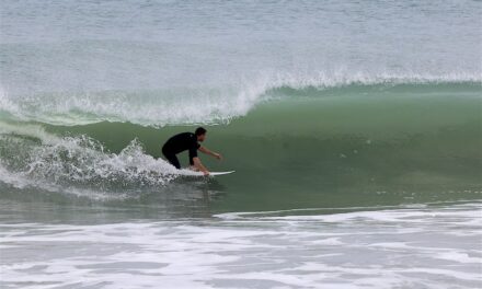 Moments With Mez Pt 2: A Winter / Spring Photo Gallery