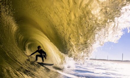 Life’s Blood: Our Photogs Rule! Part Two
