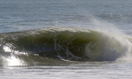 December To Remember: A Dugan & Mez Gallery