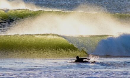 Happy Tube Year In 2023 From ESM !