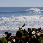 March Mellowness: In & Out Like A Lamb In Central Florida