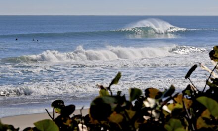 March Mellowness: In & Out Like A Lamb In Central Florida