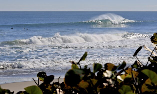 March Mellowness: In & Out Like A Lamb In Central Florida